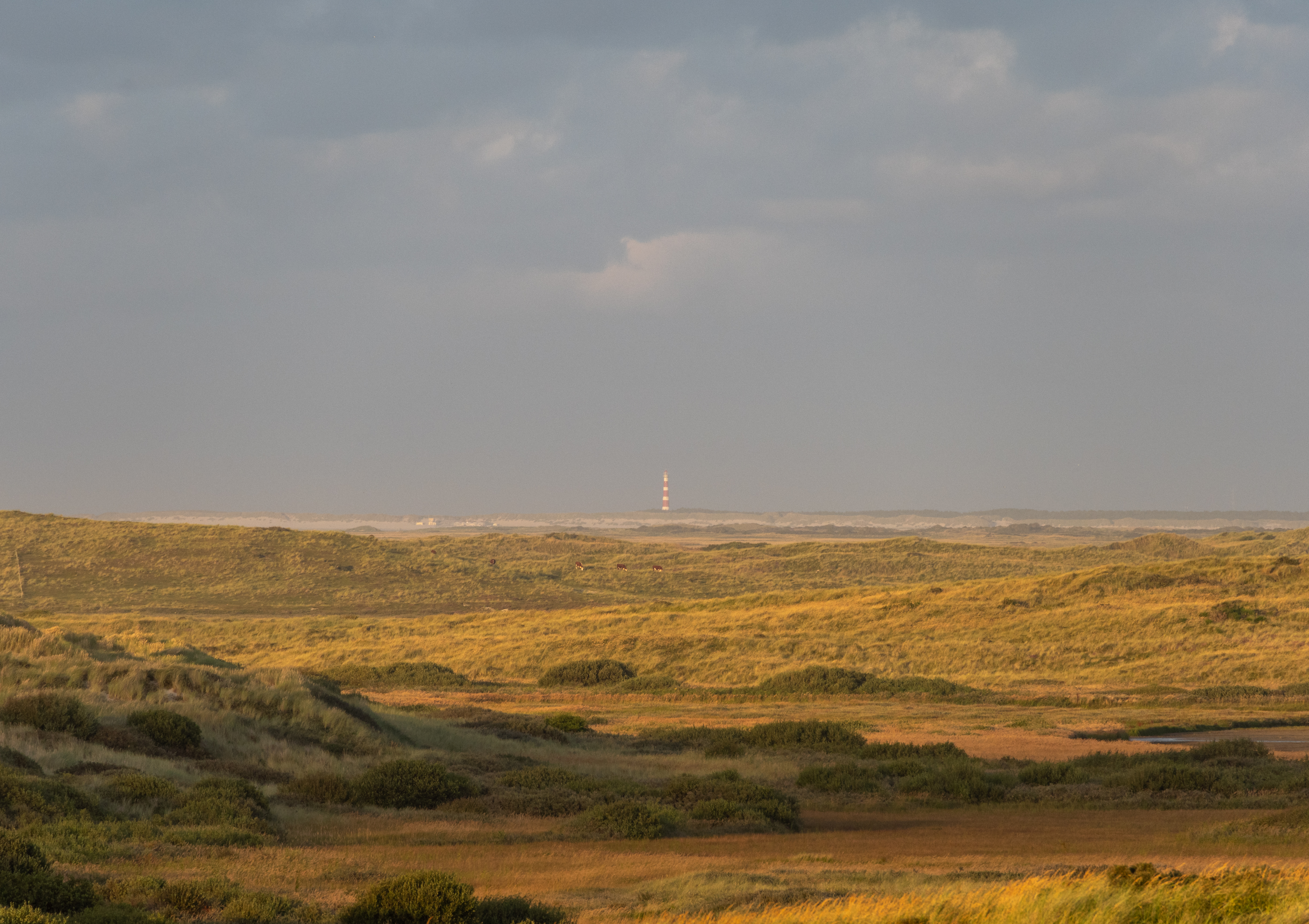 Terschelling