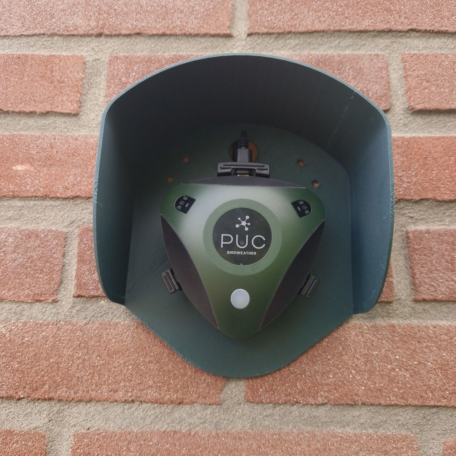 Verbannen naar de tuin